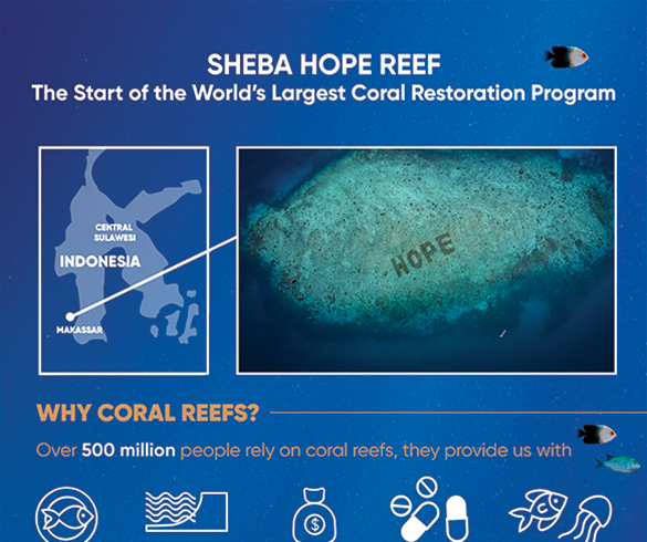 Restoring Coral Reefs Around the World - 15785